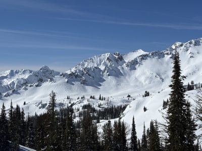 Feb 26, 2026: Observed 2/26